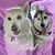 Michele Phillips's profile image