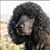 Beth Higby's profile image