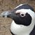 Lisa L. Smith's profile image