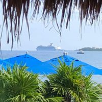 Tereasa Kissel's profile image