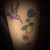 Susanne Bloom Taylor's profile image