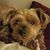 Kim Newcomb Forro's profile image