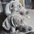 Nicole C. Gervais-Goodrum's profile image