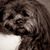 Elaine Mayowski's profile image