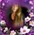 Lori Lynn's profile image