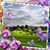Dayna Saunders's profile image