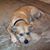 Mark An Dottie's profile image