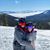 Holly Holston's profile image