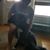 Matt Millburn's profile image