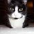 Betty Kester's profile image