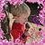 Teri Sherman's profile image