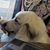 Deborah Hammons's profile image