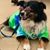 Renee Venetos Exum's profile image