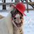 Kimberly Eslinger's profile image