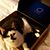 Oreo Sinquefield's profile image