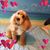 Kristin Maurer's profile image