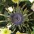 Carol Lofquist's profile image