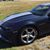 Veracity Motor Company's profile image