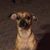 Jaye Pence Christensen's profile image