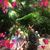 Cynthia Lynn Patrick's profile image