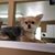 Martha Gonzalez's profile image