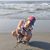 Samantha Flynn's profile image