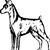 Clayton Newman's profile image