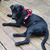 Cheryl Cunniff Paul's profile image