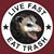 David Downs's profile image