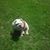 Amanda Lacombe's profile image