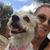 Kristy Sanchez's profile image