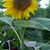 Martinez Beatriz's profile image