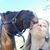Anna N. Bielawski's profile image