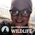 Shayla Marie Fisher's profile image