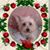 Sharon Lake's profile image