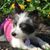 Pamela Sue McWilliams's profile image