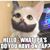 Mark Hoefer's profile image