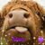 Darcel Faria's profile image