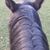 Renee Conner's profile image