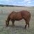 Pam Gilbreath's profile image