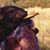 Louis P. Batson III's profile image