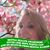 Sue Klepacki Dexter's profile image