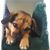 Kricket Smith's profile image