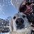 Julie Trzybinski McLellan's profile image