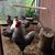 Wayne Elkins's profile image