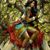 Trixi Roberts's profile image