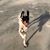 Gaye Dunlop's profile image