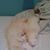 Terry Lee Pettit's profile image