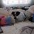 Gayle Dibble Wilhelm's profile image
