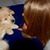 Donna Griesemer Treece's profile image